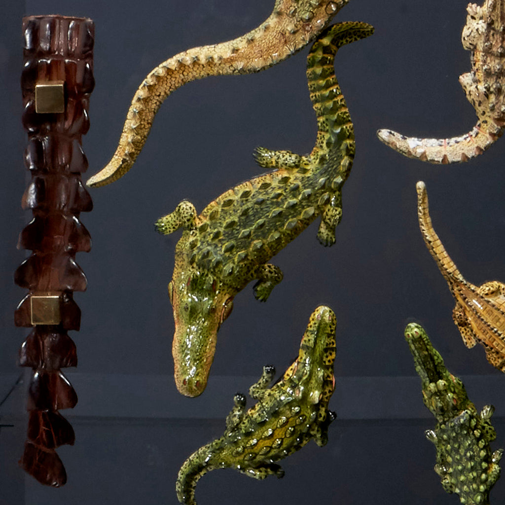 Big Croco Cabinet - Egg Designs