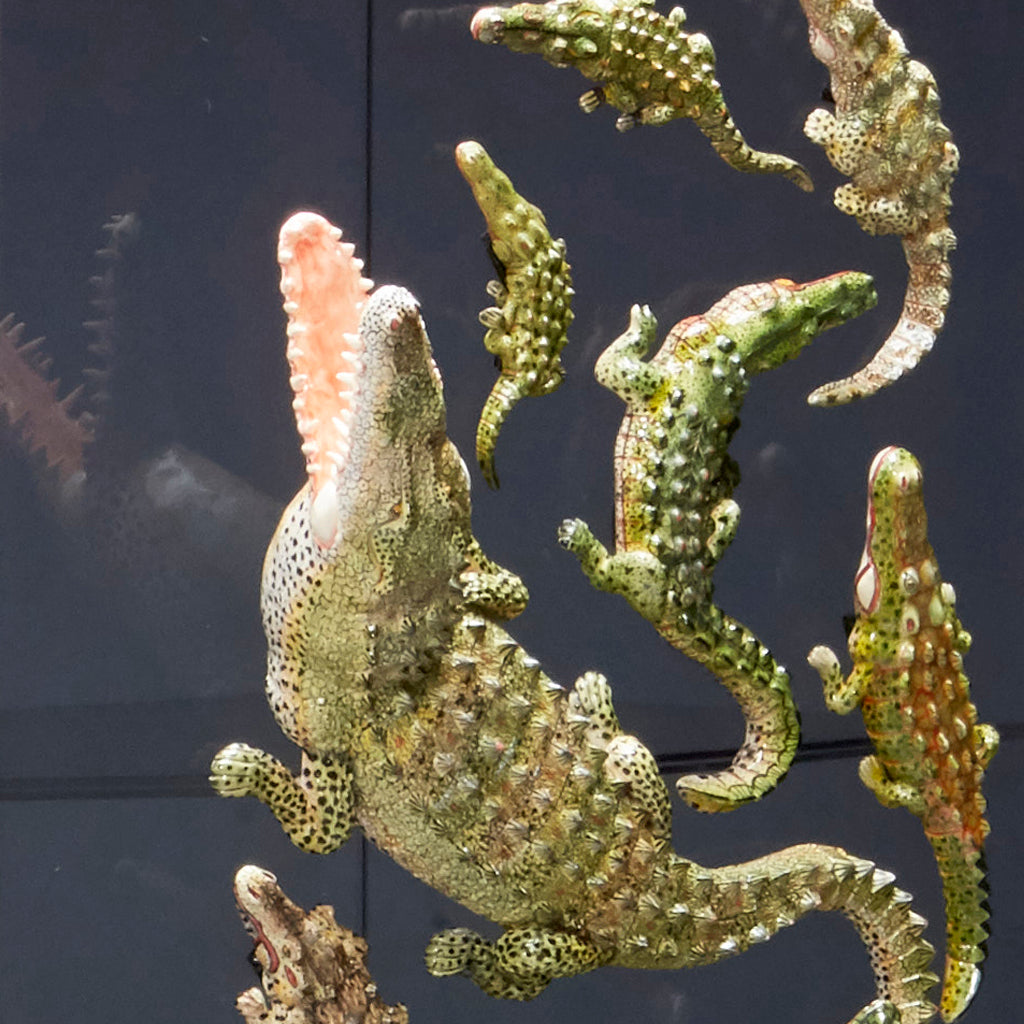 Big Croco Cabinet - Egg Designs