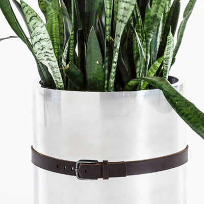 Stainless Steel Belted Planter - Egg Designs