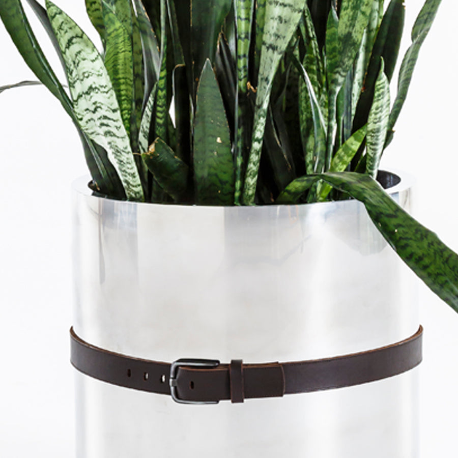 Stainless Steel Belted Planter - Egg Designs